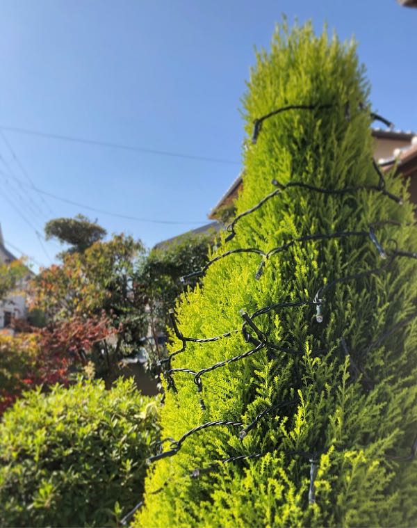 rblog-20181205014607-01.jpg