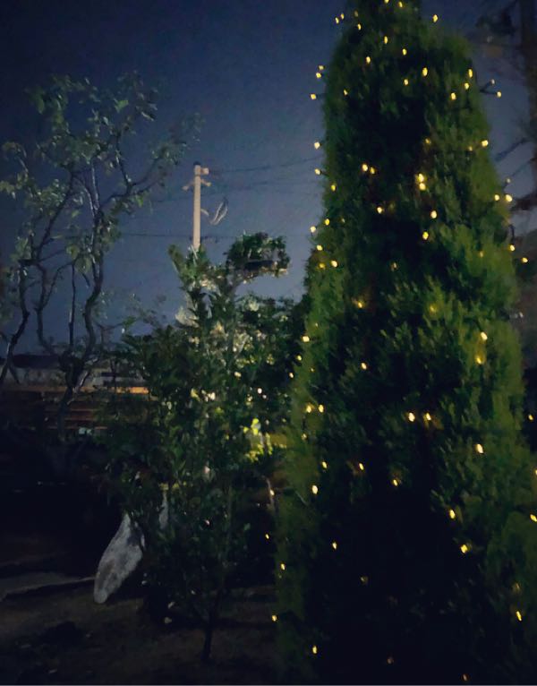 rblog-20181206231559-00.jpg