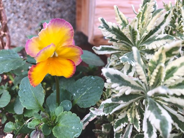 rblog-20181212084506-03.jpg