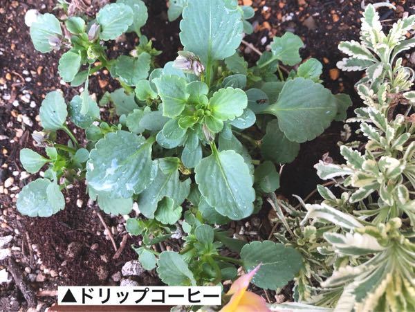rblog-20181212122028-00.jpg