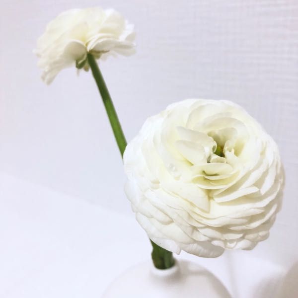 rblog-20181215232403-02.jpg