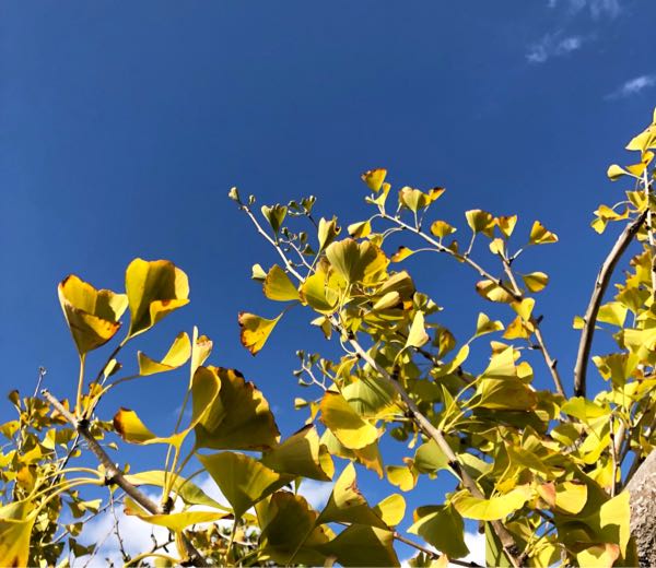 rblog-20181029172314-00.jpg