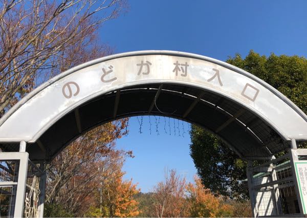 rblog-20181111225237-00.jpg