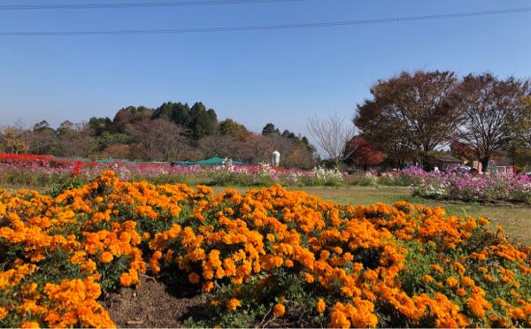 rblog-20181112003236-04.jpg